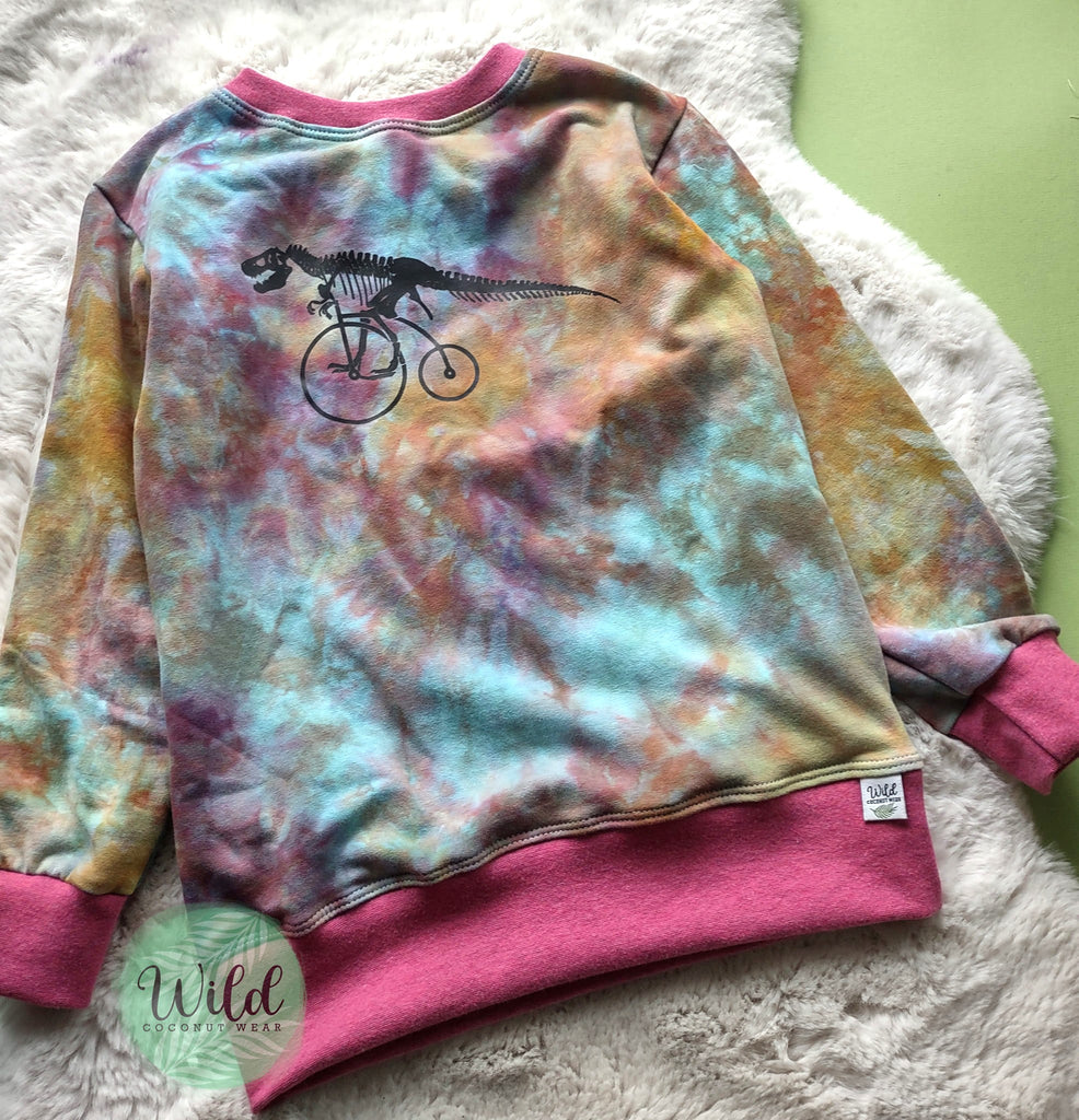 Cotton Fleece Hand Dyed Crew Neck Pullover- Dino on a Bike- Size 6