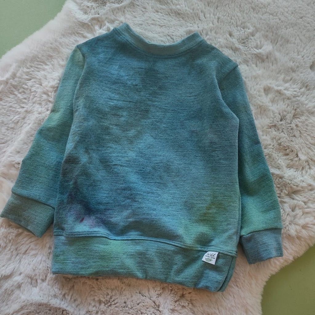 Wool Felted Jersey Pullover- Size 2