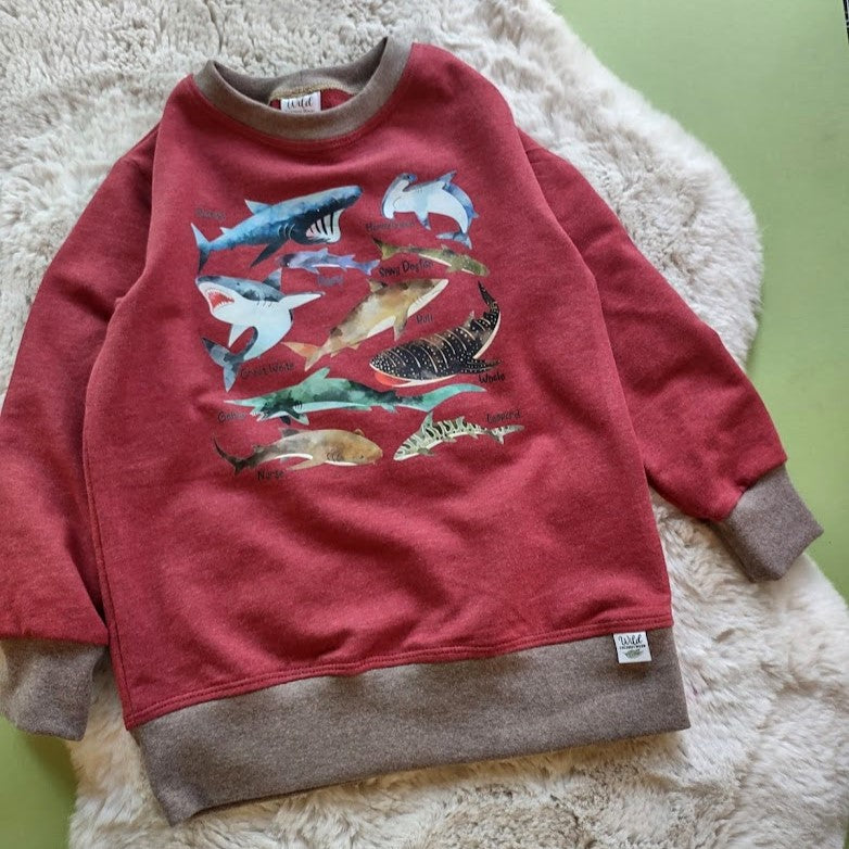 Cotton French Terry Crew Neck Pullover- Sharks- Size 5