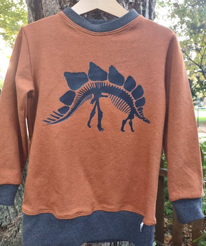 Cotton French Terry Crew Neck Pullover- Dino Bones- Size 4